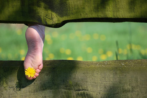cropped-AdobeStock_13419458.jpg