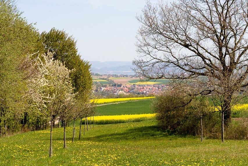 cropped-wiese-dorf.jpg
